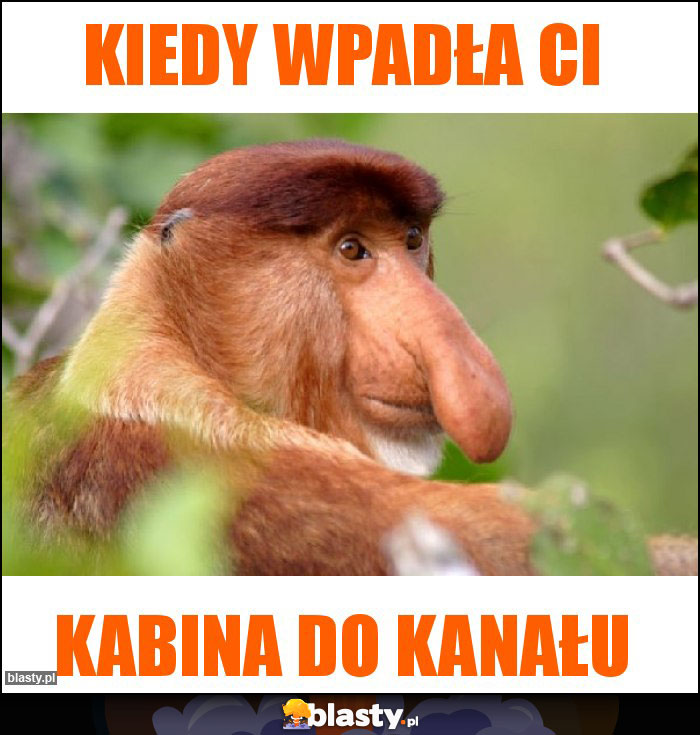 Kiedy wpadła Ci