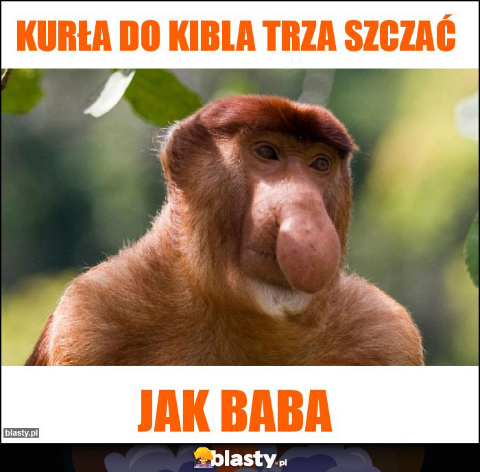 Kurła do kibla trza szczać