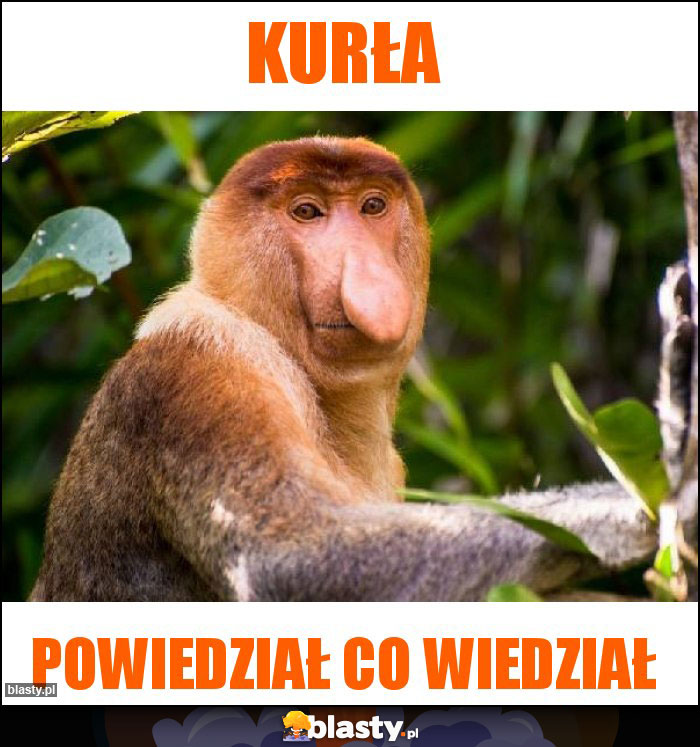 Kurła