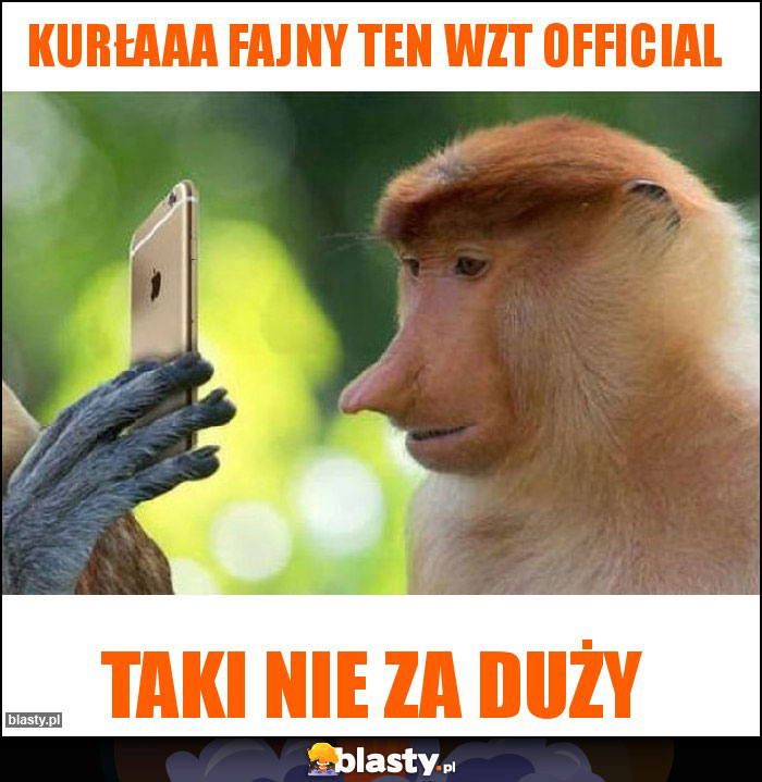 Kurłaaa fajny ten WZT Official