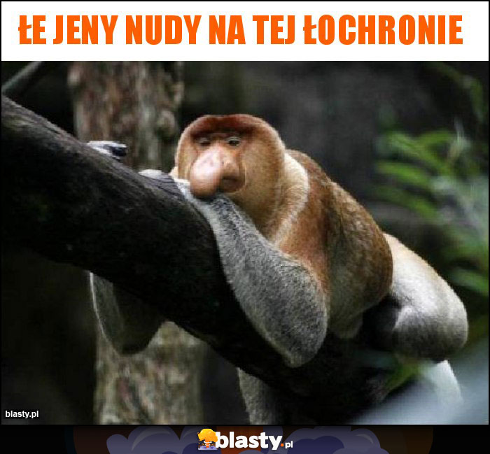 Łe jeny nudy na tej łochronie