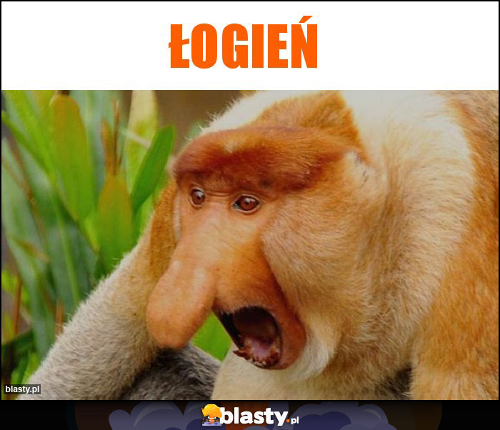 ŁOGIEŃ