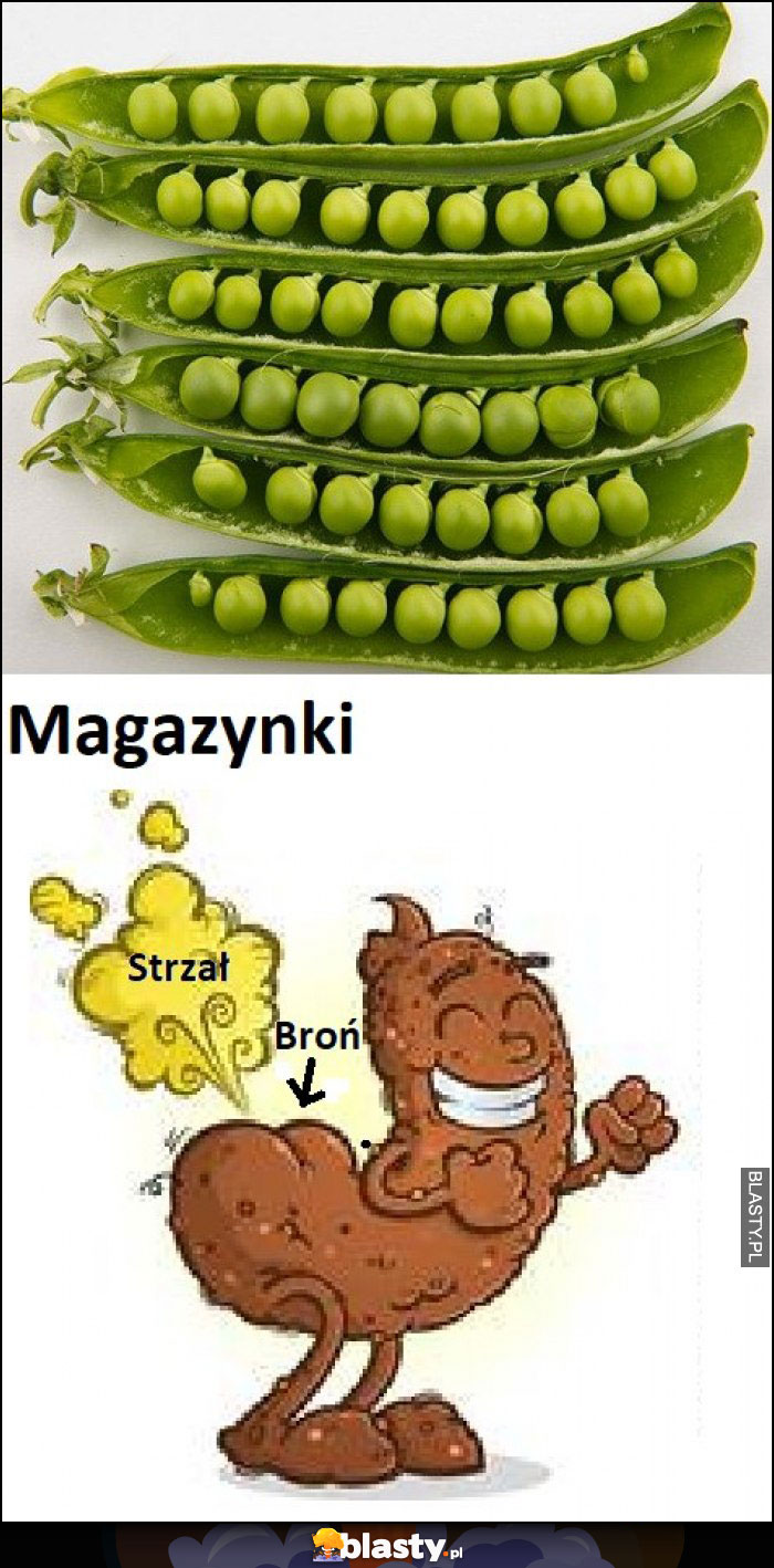 Magazynki