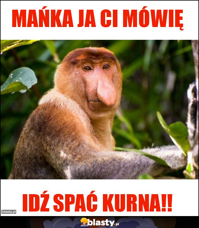 Mańka ja ci mówię