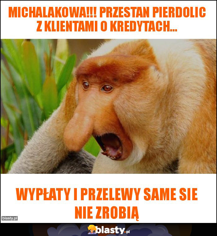 Michalakowa!!! Przestan pierdolic z klientami o kredytach...