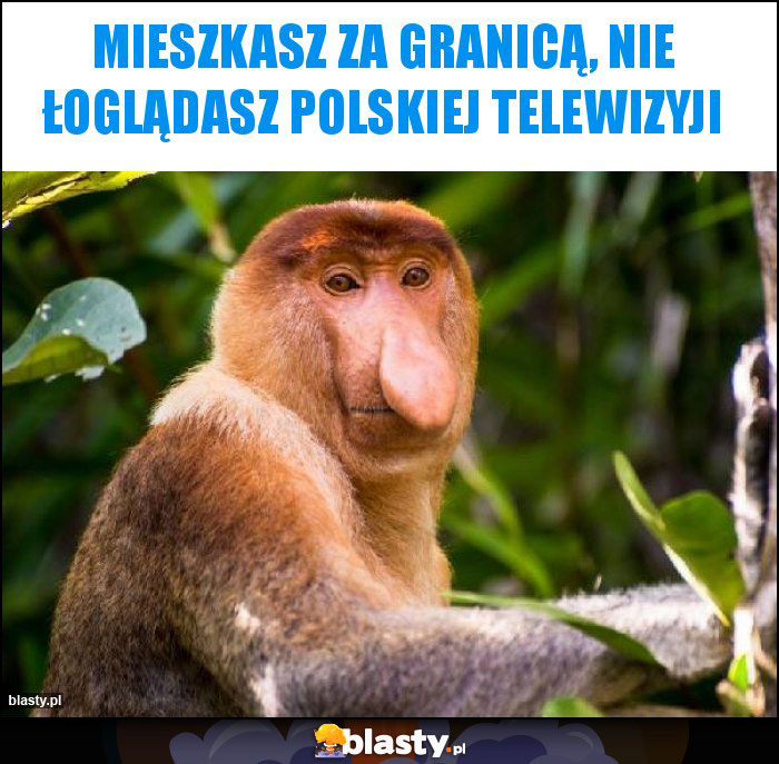 mieszkasz za granicą, nie łoglądasz polskiej Telewizyji