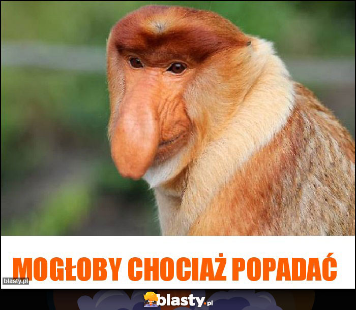 Mogłoby chociaż popadać