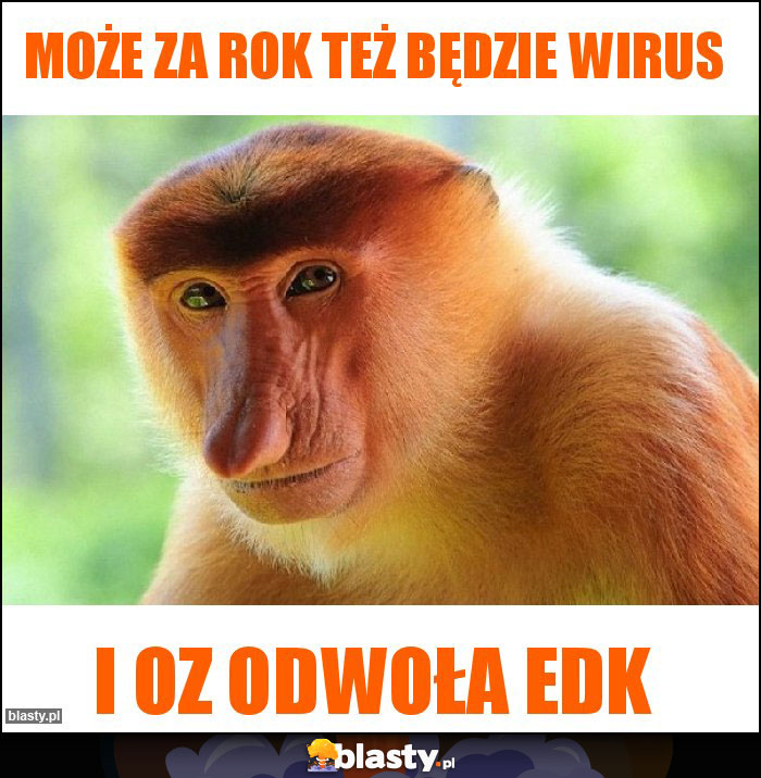 Może za rok też będzie wirus