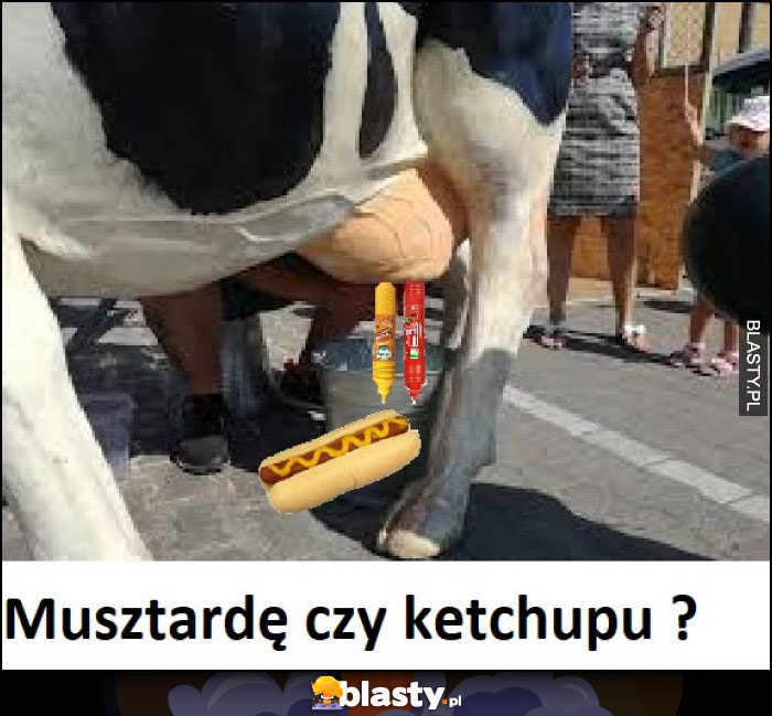 Musztardę czy ketchupu