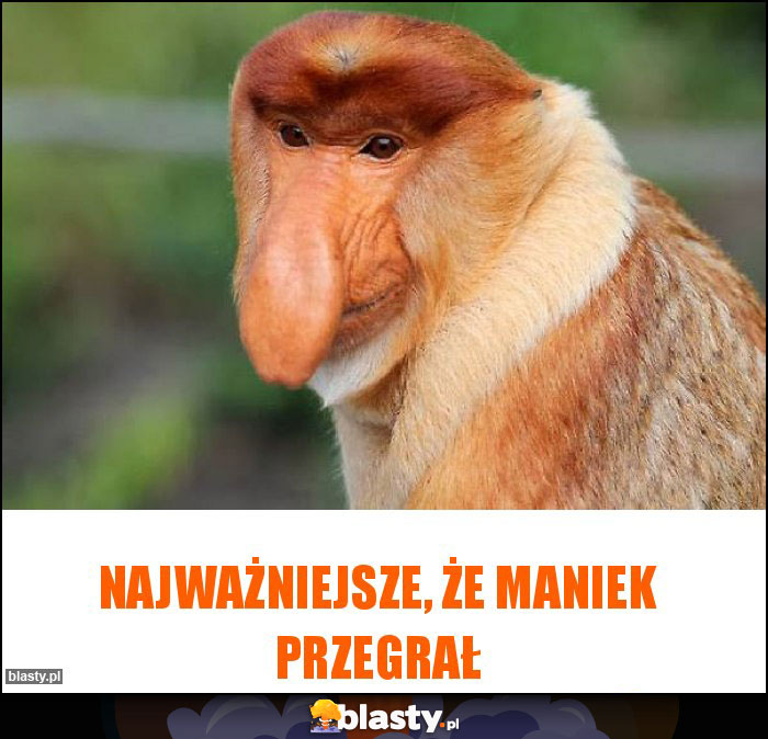 Najważniejsze, że Maniek przegrał