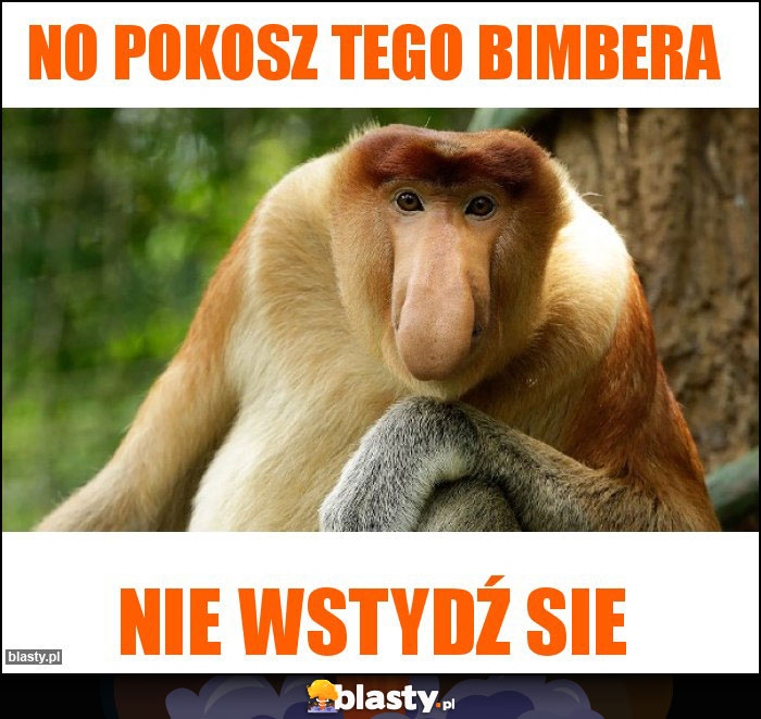 No pokosz tego bimbera