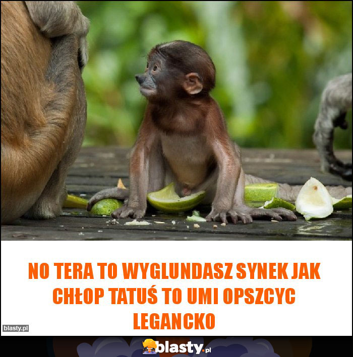 No tera to wyglundasz synek jak chłop tatuś to umi opszcyc legancko