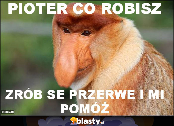 Pioter co robisz