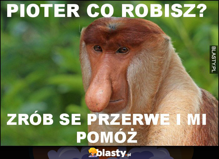 Pioter co robisz?