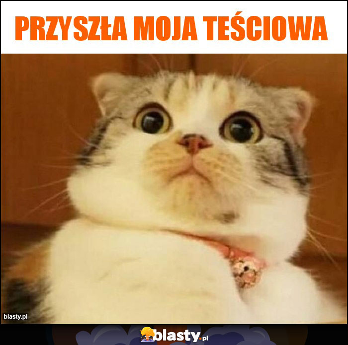 przyszła moja teściowa