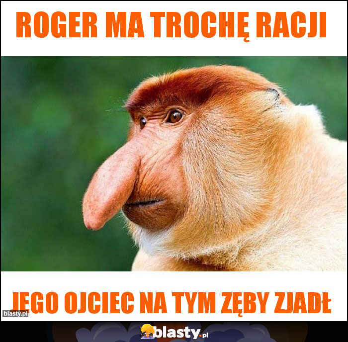 Roger ma trochę racji