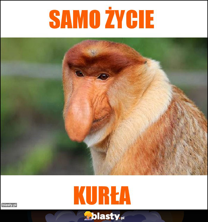 Samo życie