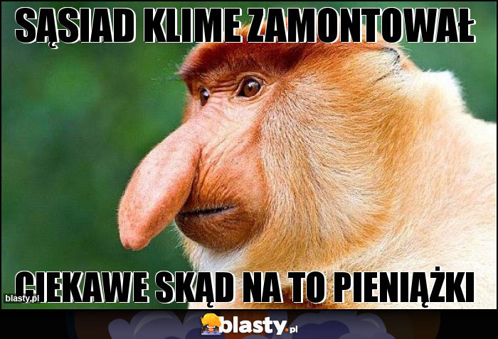 SĄSIAD KLIME ZAMONTOWAŁ