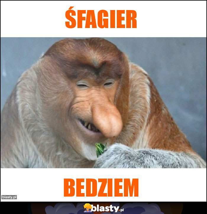 Śfagier