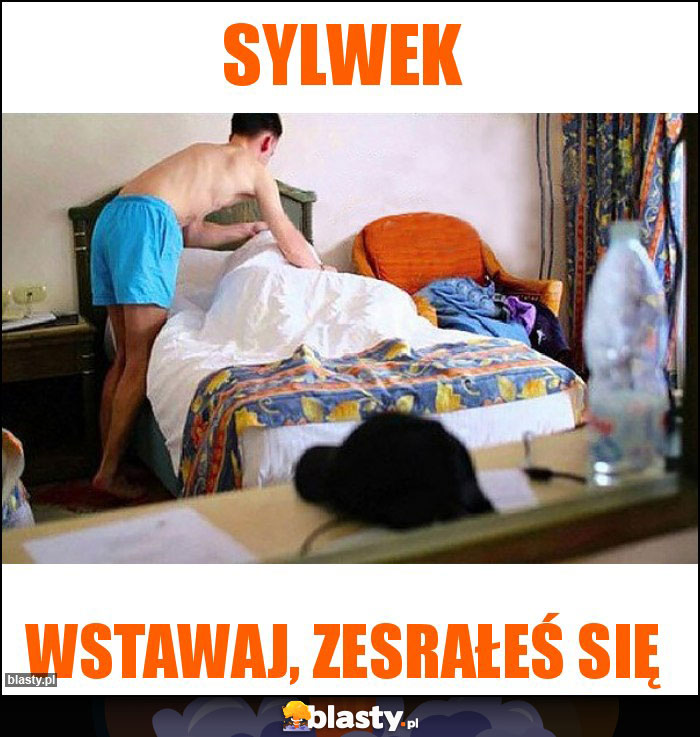 Sylwek