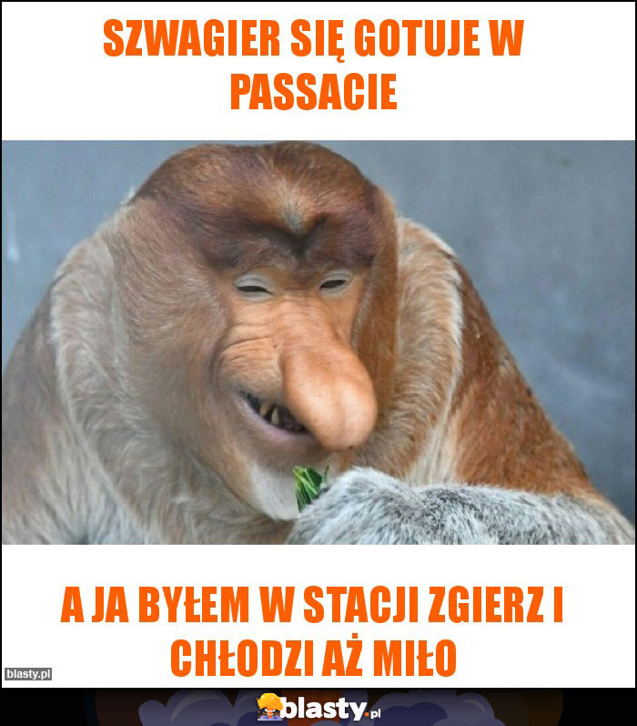 Szwagier się gotuje w Passacie