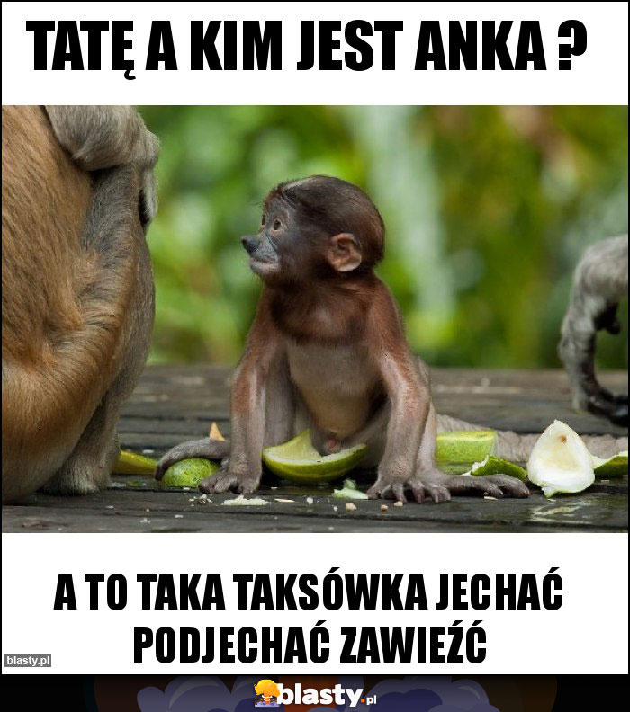 Tatę a kim jest Anka ?