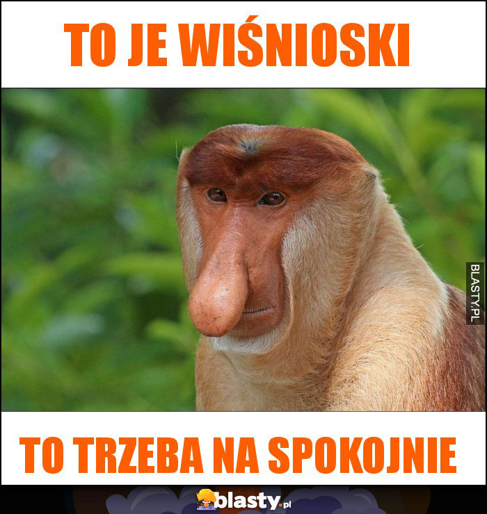 To je wiśnioski