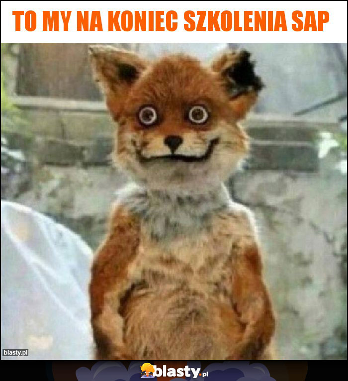 To my na koniec szkolenia sap