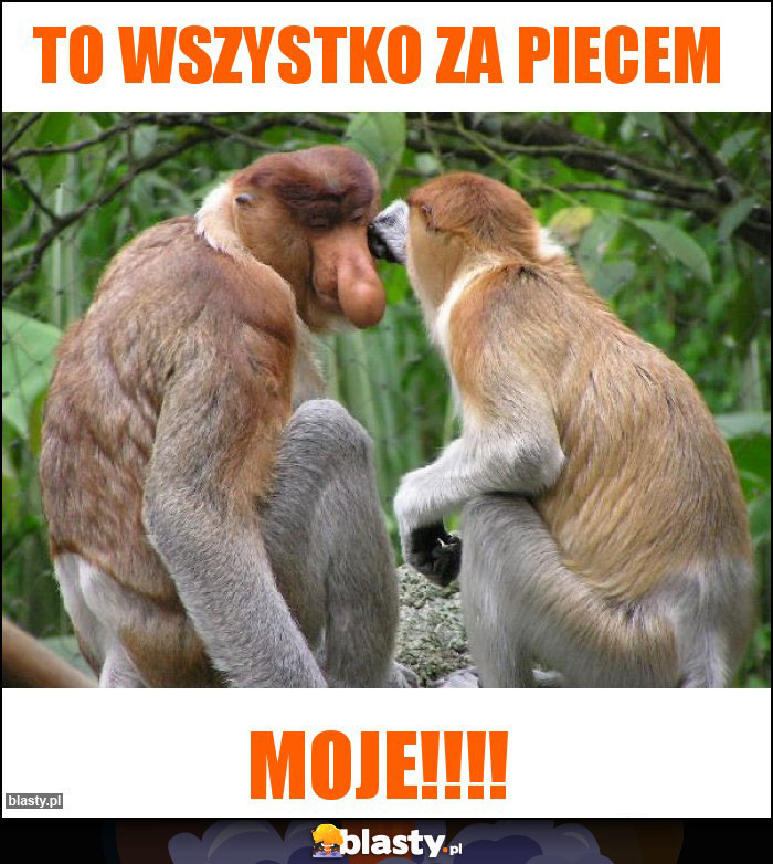 To wszystko za piecem