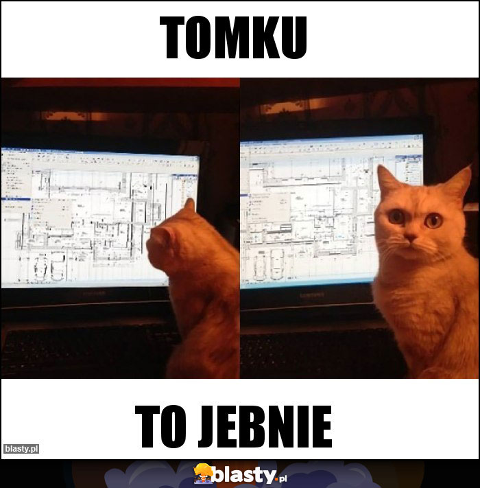 TOMKU