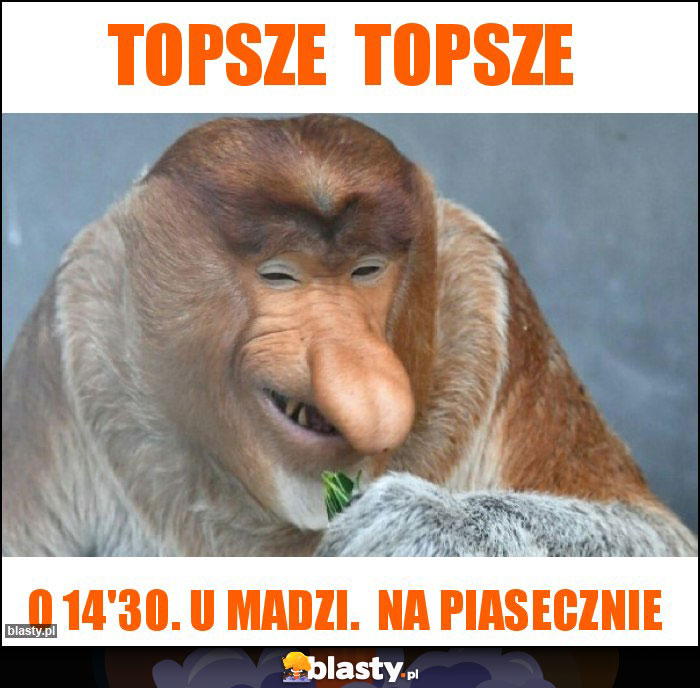 Topsze  topsze