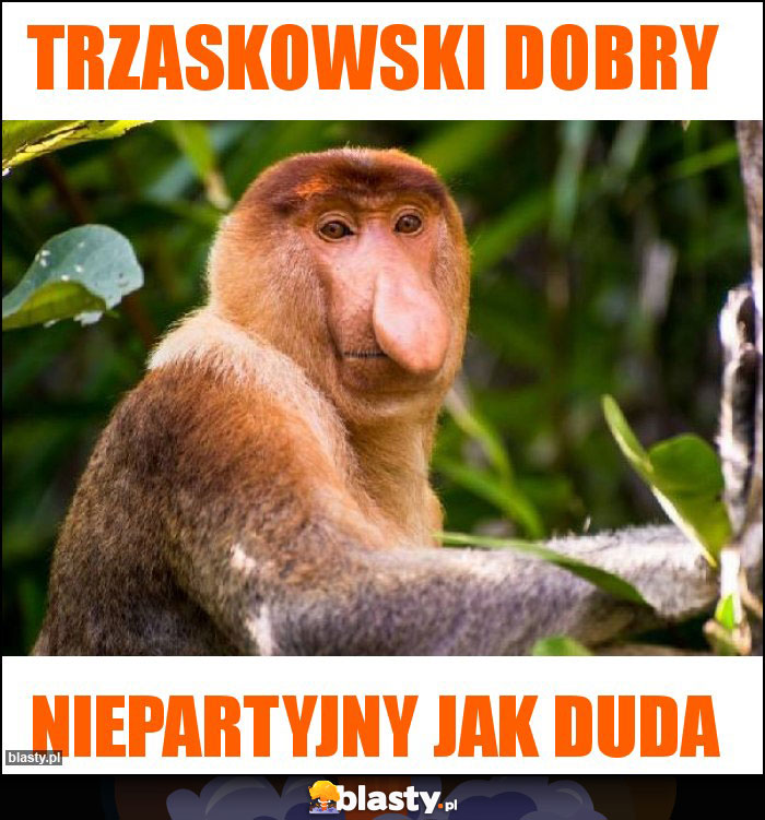 Trzaskowski dobry