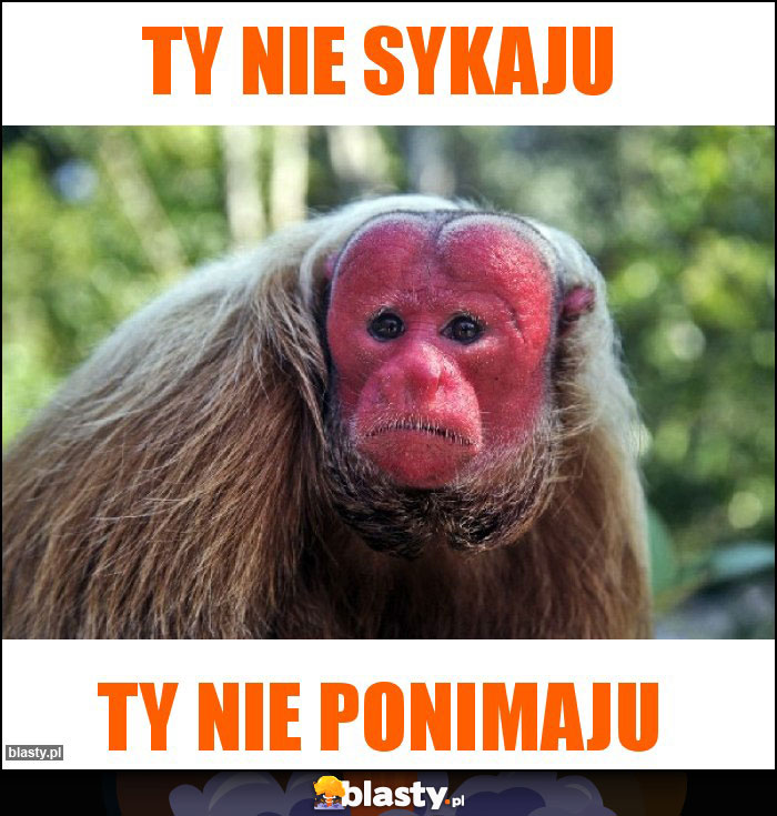 Ty nie sykaju