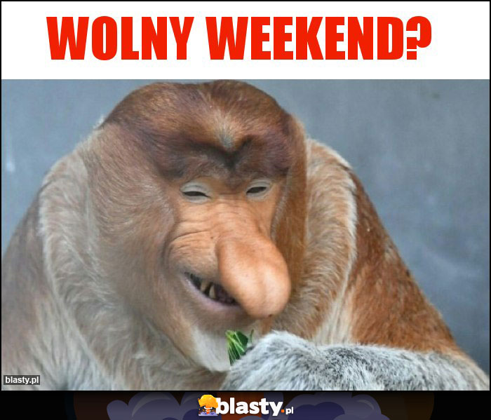 wolny weekend?