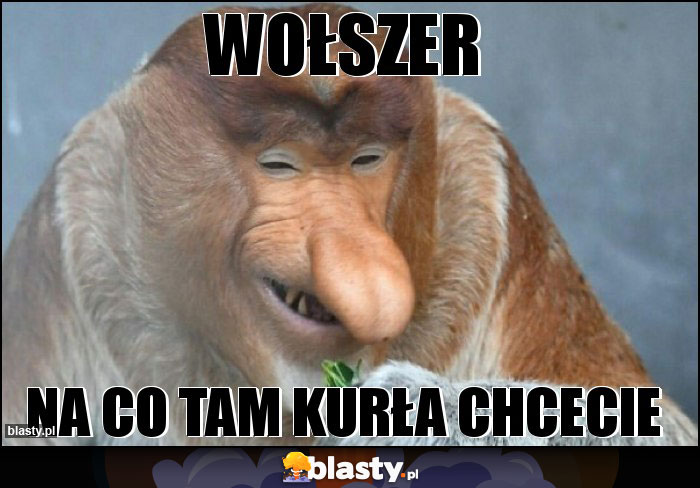 Wołszer