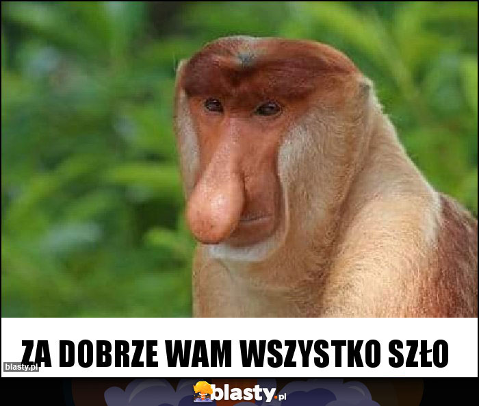 Za dobrze wam wszystko szło