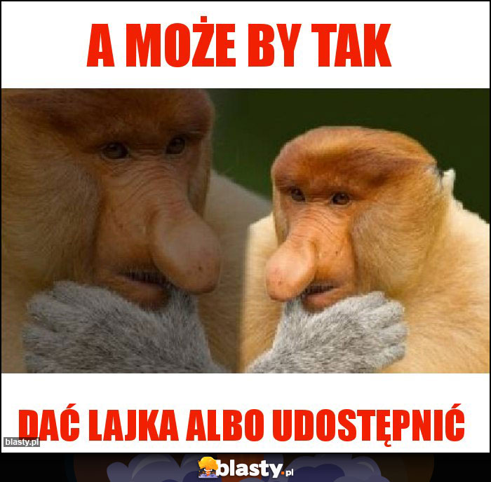 a może by tak