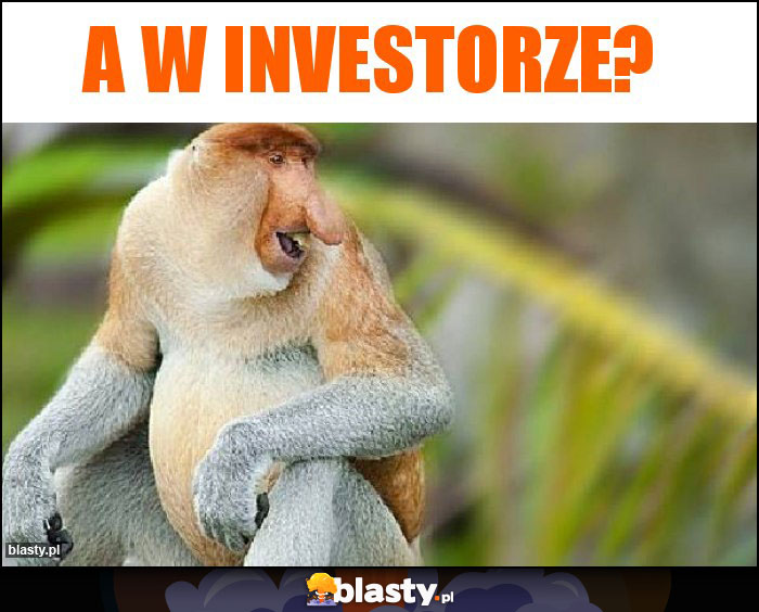 a w Investorze?