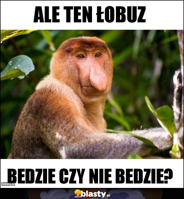 Ale ten łobuz