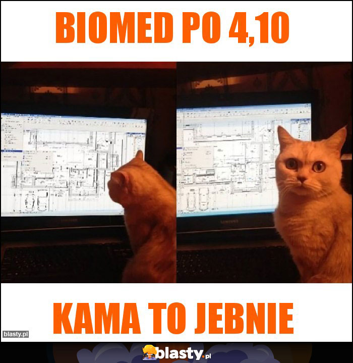 Biomed po 4,10