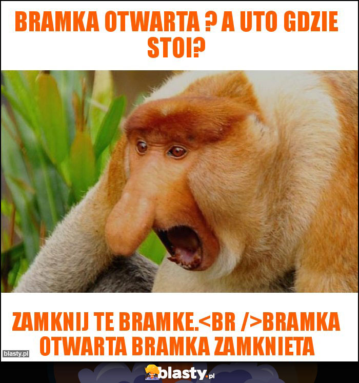 Bramka otwarta ? A uto gdzie stoi?