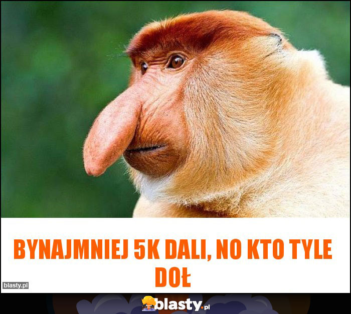 BYNAJMNIEJ 5k dali, NO KTO TYLE DOŁ