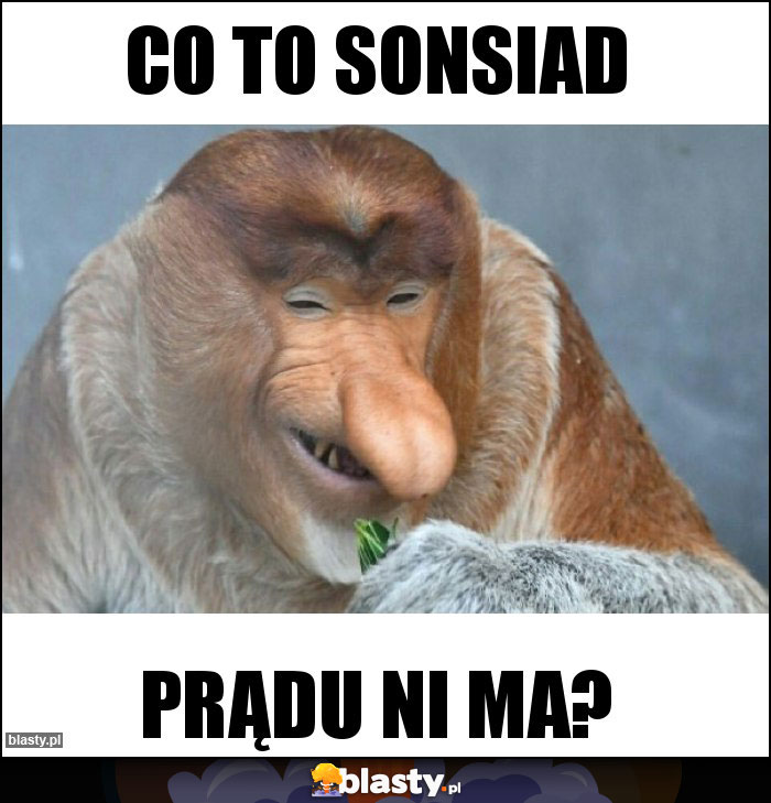 Co to sonsiad