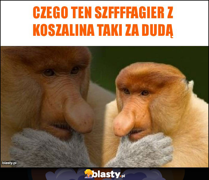 Czego ten szffffagier z Koszalina taki za Dudą