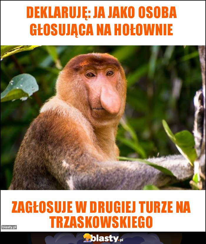 Deklaruję: ja jako osoba głosująca na Hołownie