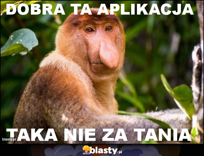 DOBRA TA APLIKACJA