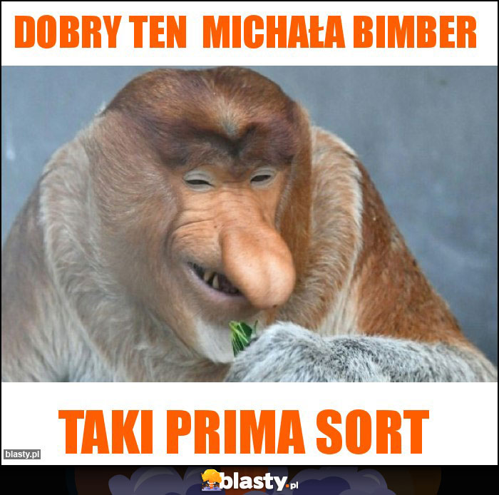 Dobry ten  Michała bimber