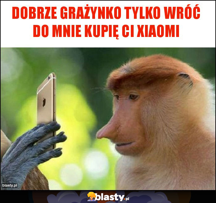 Dobrze Grażynko tylko wróć do mnie kupię ci Xiaomi