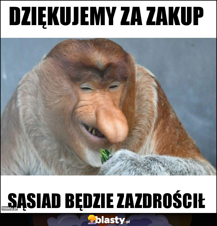 dziękujemy za zakup