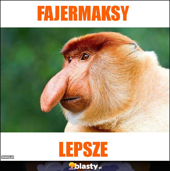 FAJERMAKSY